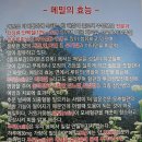 르노모텔 | 수원 팔달문 냉면 ▶ 오리지널 평양냉면 처음 먹어본 후기! @평양면옥