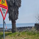 표선해변 인증센터 | 제주16일차, 표선해변인증센터 찍고 삼달리꽃밭에서 꽃구경