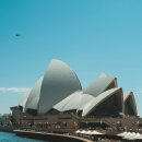 시드니약국 이미지