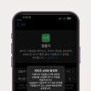 세일리