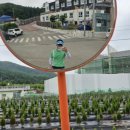 양지천 마평동 이미지