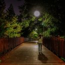 갈산공원 테니스장 이미지