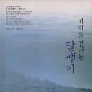 바다를건너는달팽이