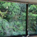 데이즈온호텔 | 양주 숙박 : 드라이브인 호텔 데이즈온 다녀온 후기