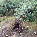 산내남명농협 이미지