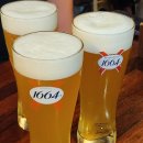 마카오박 | 부산 남포동 최애 맥주집 마카오박 내돈내산 재방문 후기