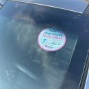 역전자동차병원 | 5W) 임신 5주차 기록 원포 역전 아기집 확인 임신확인서 발급