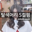아리아스헤어 이미지