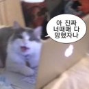 무키무키