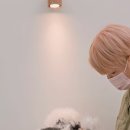 꼼꼼하개 이미지
