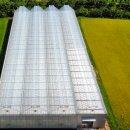 비에스팜 이미지