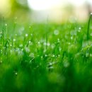 에너벨리 이미지