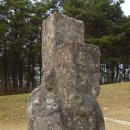 충희공 이인손 묘 이미지