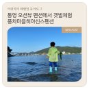 풍차마을히아신스펜션 이미지