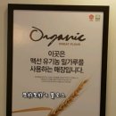 브레드오크 이미지