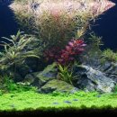 진성이발관 이미지