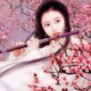 하믄 이미지