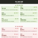 서프라이즈시티