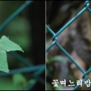 우면산3-28 이미지