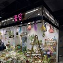 꽃담 | 부산 하단 꽃집 하단 아트몰링 꽃담 솔직후기
