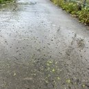 미순농장 이미지