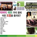 하루애 이미지