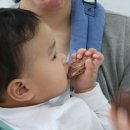신식당 이미지