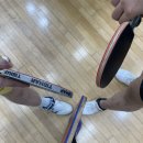 탁구 초보(야간) | 🏓 수원 매탄다목적체육관 탁구장 왕초보 모임 후기 (입장료·위치 정보까지)