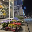 해리스플라워마켓연남점 | [연남동 데이트 코스 추천] 감성 가득한 해리스플라워마켓 연남점 방문 후기
