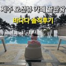 제주 한달살기｜제주 바다다 카페 후기, 서귀포 오션뷰 카페 추천 (유모차 정보 포함)