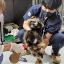 서울시야생동물센터 이미지