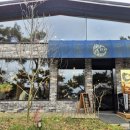 메이플동물병원 | 하남 반려동물 동반 가능 브런치 카페 [달의 정원] 방문 후기(내돈내산)