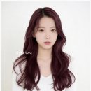 토리원