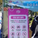CU 연수스마일점 | 2024 그린캠프페스티벌 @ 뜨거웠던 9/28 첫날 후기 - 넬, 엑스디너리히어로즈, 최유리, 글렌체크, 소란...