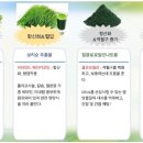 트루그린