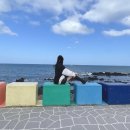 순옥이네 민박 | 제주도, 해안 도로 따라 달리면 나오는 도두동 무지개 해안 도로 / 순옥이네 명가 / 바구니 민박