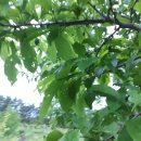 큰나무농장 이미지