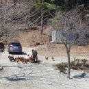 참솔 주식회사 이미지