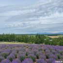 세븐일레븐 유동스타점 | [일본][삿포로] 여행 2일차 (하루하루투어/징기스칸유우히/세븐일레븐)