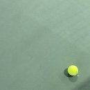 테니스장 | 테니스 - 남양주 '포투 테니스 Four-Two Tennis' , 실내 테니스장 내돈내산 후기