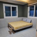 아요하우스 | 애견동반 의령 여행/진주 아요하우스(재방문)