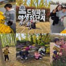 드림파크 - 횡성군 문정로30번길 7 | 드림파크