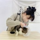 미야옹실 이미지