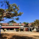 신의손지압원 이미지