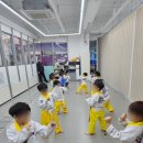 용인대 시선 태권도장 이미지