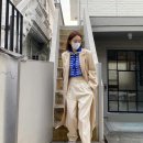 갠지 이미지