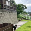 오늘도 편안하개 이미지