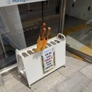 대현정비 | [관동 풍류의 길] 신사임당과 율곡 이이의 숨결을 느끼다! 강릉 '오죽헌' 완벽 탐방기 🌿📜