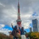 도쿄여행 n번 해본 사람이 말아주는 도쿄타워 포토스팟 5곳🗼 (숨겨진 장소 구글지도 공유)