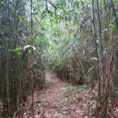 강진한의원 이미지